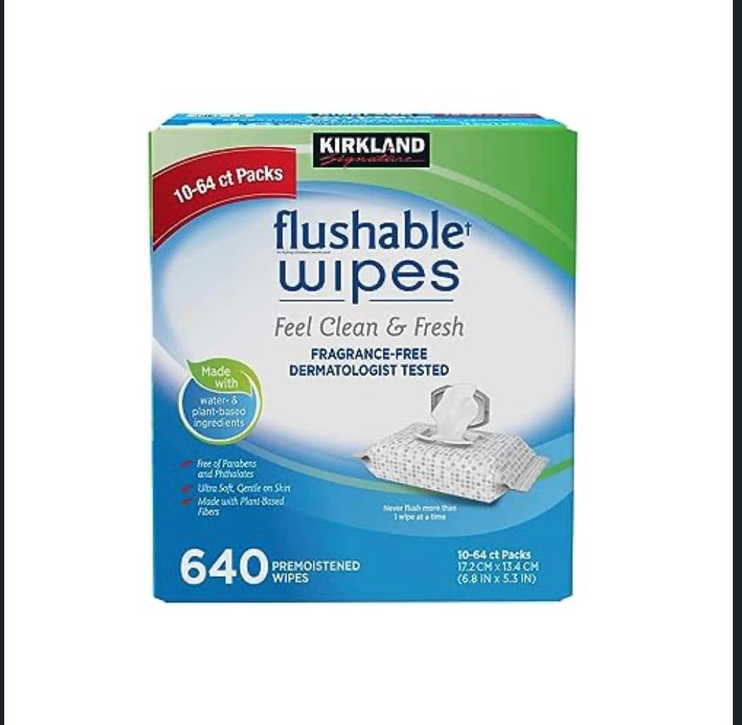 Kirkland Signature Flushable Wipes, Fragrance-Free, Paraben & Phthalate-Free, 640 Count